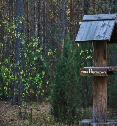 3. Тропа Паустовского в Национальном парке «Мещерский»