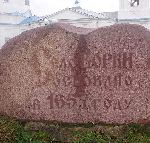 29. Исторический центр села Морозовы-Борки Сапожковский район